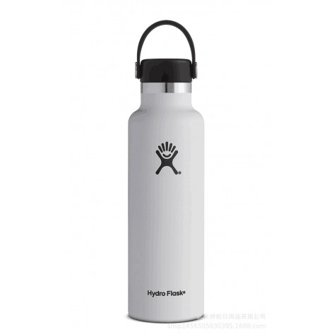 Stainless Steel Reusable Water Bottle