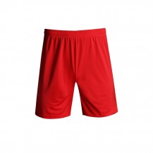 Solid Quick Dry Training Shorts