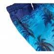 blue scenery Coconut Tree haiwaii short