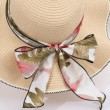 ribbon decor straw hat