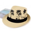 coconut tree print straw hat