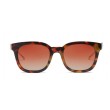 tortoise frame glasses